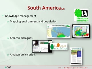 Latin America and the Caribbean Region