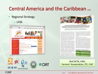 Latin America and the Caribbean Region