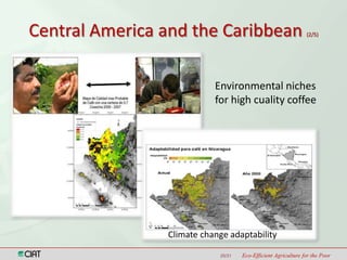 Latin America and the Caribbean Region