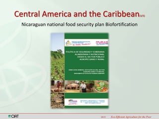 Latin America and the Caribbean Region