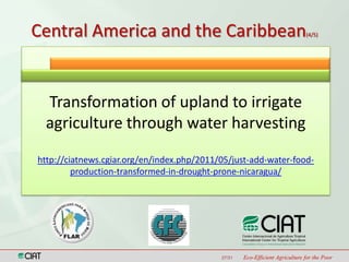 Latin America and the Caribbean Region