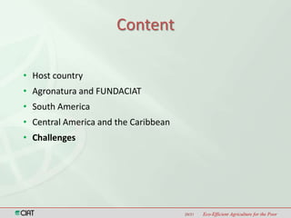 Latin America and the Caribbean Region