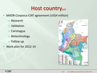 Latin America and the Caribbean Region