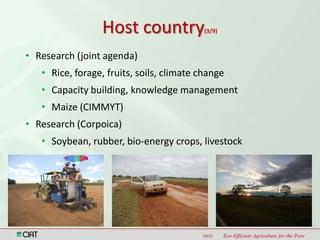 Latin America and the Caribbean Region