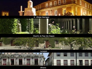 D. Afonso Henriques Claustro do Paço dos Duques Laranjais Oliveira 