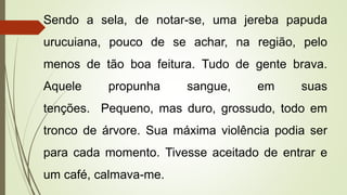Sendo a sela, de notar-se, uma jereba papuda
urucuiana, pouco de se achar, na região, pelo
menos de tão boa feitura. Tudo de gente brava.
Aquele propunha sangue, em suas
tenções. Pequeno, mas duro, grossudo, todo em
tronco de árvore. Sua máxima violência podia ser
para cada momento. Tivesse aceitado de entrar e
um café, calmava-me.
 