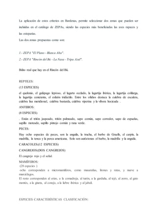 La aplicación de estos criterios en Bardenas, permite seleccionar dos zonas que pueden ser
incluídas en el catálogo de ZEPAs, siendo las especies más beneficiadas las aves rapaces y
las esteparias.
Las dos zonas propuestas como son:
1.- ZEPA "El Plano - Blanca Alta".
2.- ZEPA "Rincón del Bú - La Nasa - Tripa Azul".
Búho real que hay en el Rincón del Bú.
REPTILES:
(13 ESPECIES)
el quelonio, el galápago leproso, el lagarto ocelado, la lagartija ibérica, la lagartija colilarga,
la lagartija cenicienta, el eslizón tridáctilo. Entre los ofidios destaca la culebra de escalera,
culebra lisa meridional, culebra bastarda, culebra viperina y la víbora hocicuda .
ANFIBIOS:
(8 ESPECIES)
. Están el tritón jaspeado, tritón palmeado, sapo común, sapo corredor, sapo de espuelas,
sapillo moteado, sapillo pintojo común y rana verde.
PECES:
Hay ocho especies de peces, son la anguila, la trucha, el barbo de Graells, el carpín, la
madrilla, la tenca y la perca americana. Solo son autóctonas el barbo, la madrilla y la anguila.
CARACOLES:(12 ESPECIES)
CANGREJOS:(DOS CANGREJOS)
El cangrejo rojo y el señal.
MAMÍFEROS:
(28 especies )
ocho corresponden a micromamíferos, como musarañas, lirones y ratas, y nueve a
murciélagos.
El resto corresponden al erizo, a la comadreja, al turón, a la garduña, al tejó, al zorro, al gato
montés, a la gineta, al conejo, a la liebre ibérica y al jabalí.
ESPECIES CARACTERÍSTICAS CLASIFICACIÓN:
 