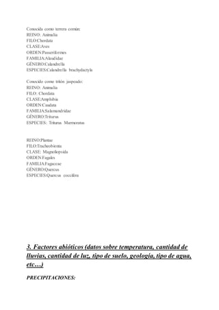 Conocida como terrera común:
REINO: Animalia
FILO:Chordata
CLASE:Aves
ORDEN:Passeriformes
FAMILIA:Alaudidae
GÉNERO:Calandrella
ESPECIES:Calandrella brachydactyla
Conocido como tritón jaspeado:
REINO: Animalia
FILO: Chordata
CLASE:Amphibia
ORDEN:Caudata
FAMILIA:Salamandridae
GÉNERO:Triturus
ESPECIES: Triturus Marmoratus
REINO:Plantae
FILO:Tracheobionta
CLASE: Magnoliopsida
ORDEN:Fagales
FAMILIA:Fagaceae
GÉNERO:Quercus
ESPECIES:Quercus coccifera
3. Factores abióticos (datos sobre temperatura, cantidad de
lluvias, cantidad de luz, tipo de suelo, geología, tipo de agua,
etc…)
PRECIPITACIONES:
 