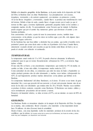 Debido a la situación geográfica de las Bardenas, en la parte media de la depresión del Valle
del Ebro, la Bardena tiene un clima Mediterráneo. Las precipitaciones son escasas,
irregulares, torrenciales y de carácter equinoccial, con máximos en primavera y otoño.
Al ser las lluvias irregulares y torrenciales, cuando llueve se produce una transformación total
del terreno. Debido al tipo de suelo, cuando llueve el agua escurre por el suelo ya que el
terreno no filtra agua y erosiona rápidamente generando pequeñas riadas en los caminos y
rompiendo muchos de ello. Yo personalmente como Navarro que he visitado la Bardena
puedo asegurar que por el camino hay numerosas grietas que atraviesan el camino y son
bastante profundas.
Esta característica del suelo, a parte de tener la consecuencia erosiva, también tiene
consecuencias en las plantas ya que las raíces no reciben agua y por ello, solo algunos tipos
de plantas logran sobrevivir.
En las bardenas hay una base militar y alrededor hay un camino, que recibe el nombre de la
perimetral puesto que como decía antes se sitúa en el perímetro de la base. Cuando llueve,
unicamente se puede circular por esa pista ya que las demás están llenas de barro y no se
puede ni circular con vehículos ni caminando.
TEMPERATURAS:
La temperatura anual ronde de 13 a 14ºC. Se puede observar claramente la influencia
continental pues to que en verano frecuentemente sobrepasan los 35ºC, y en invierno llega
incluso a helar.
El mes más frío es Enero; y nos encontramos temperaturas que rondan los 5ºC de media; en
cambio en Julio, el mes más cálido, la temperatura media ronda los 23ºC.
Como curiosidad de este clima, os contaremos que entre los mese de Junio y Septiembre se
suelen producir potentes olas de calor alcanzando y muchas veces incluso sobrepasando los
42ºC, lo cual lógicamente produce muchas alteraciones en las plantas que habitan en la
Bardena.
Un componente fundamental del clima Bardenero, es el cierzo. El cierzo es un viento de gran
intensidad frío y seco que procede del nor-noroeste y el cual está presente durante más de un
tercio de los días con velocidades que rondan entre los 20 y 30 km/h. Muchas veces también
se produce el efecto contrario, conocido como Bochorno. El Bochorno son vientos cálidos y
secos normalmente procedentes del sur-sureste y sureste.
Respecto a la humedad relativa; se sitúa en torno al 67%, con un máximo en enero de 80% de
humedad.
GEOLOGÍA:
Las Bardenas Reales se encuentran situadas en la margen de la Depresión del Ebro. Su origen
no es marino, sino continental, fluvial o lacustre y los materiales se han depositado desde
hace 38 millones de años (Eoceno) hasta la actualidad.
Desde el inicio, esta zona deprimida recibe los materiales producto de la erosión de las dos
cordilleras que la rodean. En la parte central de la cuenca (sur de Bardenas), las facies de arcillas y calizas
están muy poco replegadas y en disposición casi horizontal.
 