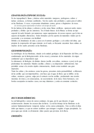 EDAFOLOGÍA(TIPO DE SUELO):
En las topografías(1) llanas y laderas sobre materiales margosos, pedregosos, calizos e
incluso areniscas, se forman cambisoles. Son los suelos más profundos y aptos para el cultivo
en las Bardenas. A veces, se presentan abundantes cantos, gravas o fragmentos de rocas.
(1) técnica para representar el relieve de un tipo de suelo.
En las laderas de las planas y cabezos y en las zonas llanas arcillosas, aparecen suelos menos
profundos y fértiles que los anteriores. En el fondo limoso de la Blanca se forma un tipo
especial de suelo formado por numerosas capas superpuestas de escaso espesor, que le dan un
aspecto de hojaldre (fluvisoles). Están formados por los aportes de materiales traídos por la
escorrentía y se erosionan con facilidad.
Debido a la abundancia de sales y yesos en el sustrato geológico y a la aridez del clima, que
propicia la evaporación del agua existente en el suelo, es frecuente encontrar fases salinas en
muchos de los suelos presentes en las Bardenas.
GEOMORFOLOGÍA:
La morfología de Las Bardenas, situada en la unidad geológica de la Depresión del Ebro, está
condicionada por la litología(estudio de las rocas) y estructura de los materiales de origen
continental que se depositaron aquí.
La alternancia de litologías de distinta dureza (arcilla con calizas, areniscas o yeso) en la que
predominan los materiales blandos (arcillas y limos) y su disposición subhorizontal, han
permitido actuar a la erosión rápida e intensamente, dando como resultado una gran
depresión.
Tanto las calizas y las areniscas como las gravas, presentan cierta permeabilidad, a diferencia
de las arcillas que son impermeables; esto hace que el agua de lluvia que se infiltra en las
calizas, areniscas y gravas, salga por el contacto con las arcillas, produciendo una erosión
mecánica de éstas y, en consecuencia, un socavamiento de la mesa. Estos barrancos, con
bordes escarpados en muchos casos, son muy dinámicos y están en constante evolución.
RECURSOS HÍDRICOS:
La red hidrográfica carece de cursos continuos de agua, por lo que discurre el agua
exclusivamente durante los escasos días de lluvia. La red de drenaje de las Bardenas es de
carácter fundamentalmente temporal, incluso en los cursos principales. Esto se debe al clima
árido que impera y a que no existen acuíferos que retengan o regulen el agua precipitada. La
poca agua que circula es obviamente dulce puesto que proviene de la lluvia.
EROSIÓN:
 