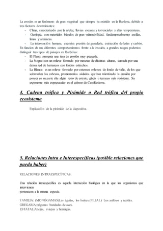 La erosión es un fenómeno de gran magnitud que siempre ha existido en la Bardena, debido a
tres factores determinantes:
- Clima, caracterizado por la aridez, lluvias escasas y torrenciales y altas temperaturas.
- Geología, con materiales blandos de gran vulnerabilidad, fundamentalmente arcillas,
limos y areniscas.
- La intervención humana, excesiva presión de ganadería, extracción de leñas y carbón.
En función de sus diferentes comportamientos frente a la erosión, a grandes rasgos podemos
distinguir tres tipos de paisajes en Bardenas:
- El Plano: presenta una tasa de erosión muy pequeña.
- La Negra: con un relieve formado por mesetas de distintas alturas, surcada por una
densa red de barrancos con fondos estrechos.
- La Blanca: es un relieve formado por extensos rellenos de fondo de valle, de los que
sobresalen los cabezos, promontorios aislados que han ralentizado la erosión por
poseer en su parte alta algún resto de estrato, glacis o terrazas más resistente. Su
exponente más espectacular es el cabezo de Castildetierra.
4. Cadena trófica y Pirámide o Red trófica del propio
ecosistema
Explicación de la pirámide de la diapositiva.
5. Relaciones Intra e Interespecíficas (posible relaciones que
pueda haber)
RELACIONES INTRAESPECÍFICAS:
Una relación intraespecífica es aquella interacción biológica en la que los organismos que
intervienen
pertenecen a la misma especie.
FAMILIA: (MONÓGAMAS)Las águilas, los buitres.(FILIAL) Los anfibios y reptiles.
GREGARIA:Algunas bandadas de aves.
ESTATAL:Abejas, avispas y hormigas.
 