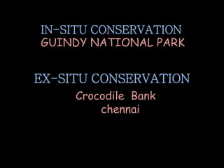 IN-SITU CONSERVATION
GUINDY NATIONAL PARK
EX-SITU CONSERVATION
Crocodile Bank
chennai
 