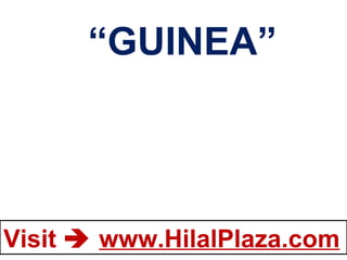“ GUINEA” 