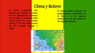 Clima y Relieve
El relieve comprende una
llanura que bordea el océano;
en el N, altiplanicies y sabanas;
en el centro, el macizo de Futa
Yalón (1.537 m) y los montes
Nimba (1.752 m), donde nacen
los ríos Gambia, Senegal y
Níger.
El clima es cálido y húmedo; las
precipitaciones, abundantes en
el llano y en los macizos
montañosos, son más débiles en
las regiones norteñas.
 