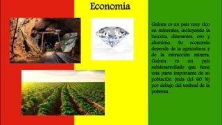 Economía
Guinea es un país muy rico
en minerales, incluyendo la
bauxita, diamantes, oro y
aluminio. Su economía
depende de la agricultura y
de la extracción minera.
Guinea es un país
subdesarrollado que tiene
una parte importante de su
población (más del 60 %)
por debajo del umbral de la
pobreza.
 