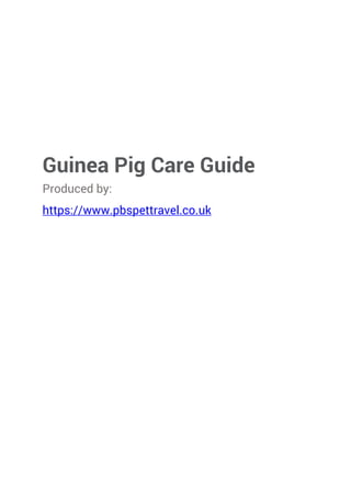 Guinea Pig Care Guide
Produced by:
https://www.pbspettravel.co.uk
 