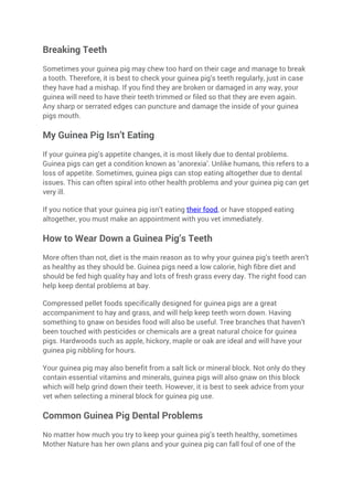 Image showcasing The Guinea Pig Care Guide | PDF