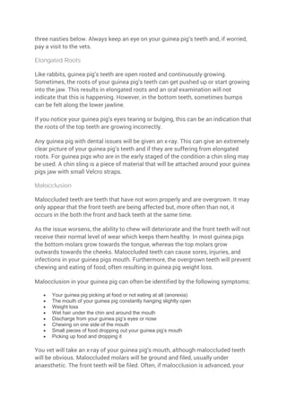 Picture of The Guinea Pig Care Guide | PDF