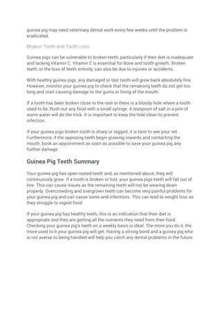 The Guinea Pig Care Guide | PDF