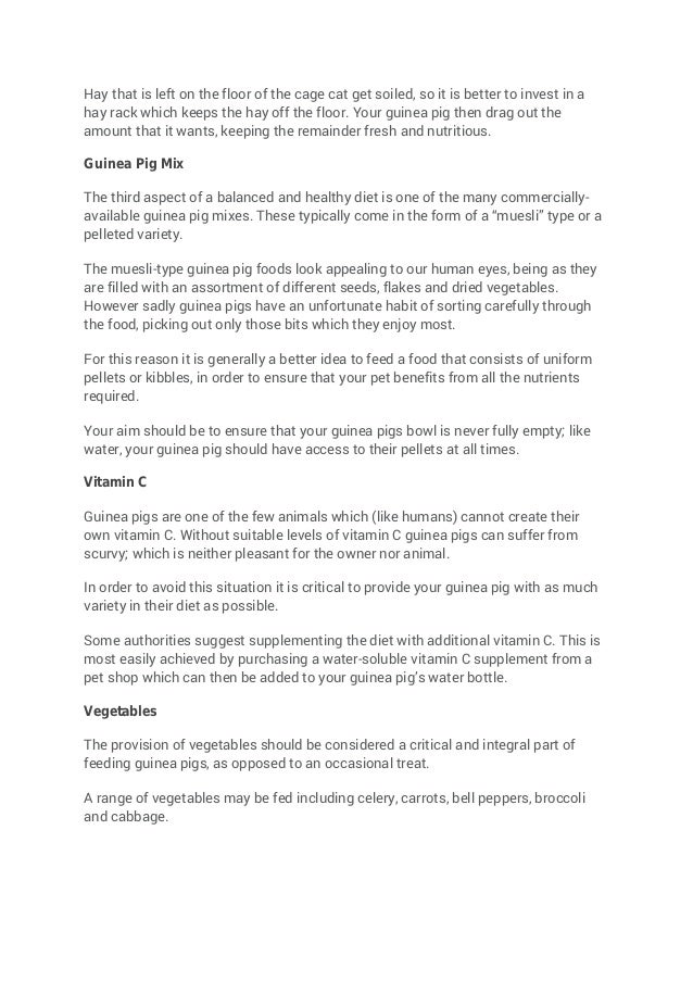 guinea pig feeding guide