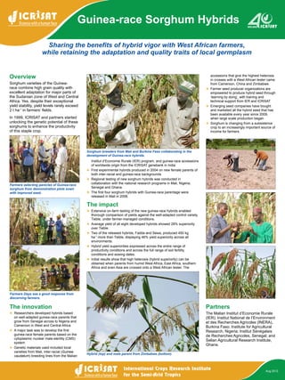 Sharing the benefits of hybrid vigor with West African farmers,
while retaining the adaptation and quality traits of local germplasm
Guinea-race Sorghum Hybrids
Aug 2012
Overview
Sorghum varieties of the Guinea-
race combine high grain quality with
excellent adaptation for major parts of
the Sudanian zone of West and Central
Africa. Yes, despite their exceptional
yield stability, yield levels rarely exceed
2 t ha-1
in farmers’ fields.
In 1999, ICRISAT and partners started
unlocking the genetic potential of these
sorghums to enhance the productivity
of this staple crop.
The innovation
v		Researchers developed hybrids based
on well-adapted guinea-race parents that
grow from Senegal across to Nigeria and
Cameroon in West and Central Africa
v	 A major task was to develop the first
guinea-race female parents based on the
cytoplasmic nuclear male-sterility (CMS)
system
v	 Genetic materials used included local
varieties from Mali, inter-racial (Guinea-
caudatum) breeding lines from the Malian
Institut d’Economie Rurale (IER) program, and guinea-race accessions
of worldwide origin from the ICRISAT genebank in India
v	 First experimental hybrids produced in 2004 on new female parents of
both inter-racial and guinea-race backgrounds
v	 Regional testing of new sorghum hybrids was conducted in
collaboration with the national research programs in Mali, Nigeria,
Senegal and Ghana.
v	 The first four sorghum hybrids with Guinea-race parentage were
released in Mali in 2008.
The impact
v	 Extensive on-farm testing of the new guinea-race hybrids enabled
thorough comparison of yields against the well-adapted control variety,
Tieble, under farmer-managed conditions.
v	 Average yield of all eight developed hybrids showed 28% superiority
over Tieble.
v	 Two of the released hybrids, Fadda and Sewa, produced 450 kg
ha-1
more than Tieble, displaying 46% yield superiority across all
environments.
v	 Hybrid yield superiorities expressed across the entire range of
productivity conditions and across the full range of soil fertility
conditions and sowing dates.
v	 Initial results show that high heterosis (hybrid superiority) can be
obtained when parents from humid West Africa, East Africa, southern
Africa and even Asia are crossed onto a West African tester. The
accessions that give the highest heterosis
in crosses with a West African tester came
from Cameroon, China and Zimbabwe.
v	 Farmer seed producer organizations are
empowered to produce hybrid seed through
’learning by doing’, with training and
technical support from IER and ICRISAT
v	 Emerging seed companies have bought
and marketed all the hybrid seed that has
been available every year since 2009,
when large scale production began
v	 Sorghum is changing from a subsistence
crop to an increasingly important source of
income for farmers.
Partners
The Malian Institut d’Economie Rurale
(IER); Institut National de l’Environment
et des Recherches Agricoles (INERA),
Burkina Faso; Institute for Agricultural
Research, Nigeria; Institut Sénégalais
de Recherches Agricoles, Senegal; and
Selian Agricultural Research Institute,
Ghana.
Sorghum breeders from Mali and Burkina Faso collaborating in the
development of Guinea-race hybrids.
Hybrid (top) and male parent from Zimbabwe (bottom).
Farmers Days see a good response from
discerning farmers.
Farmers selecting panicles of Guinea-race
sorghum from demonstration plots sown
with improved seed.
 