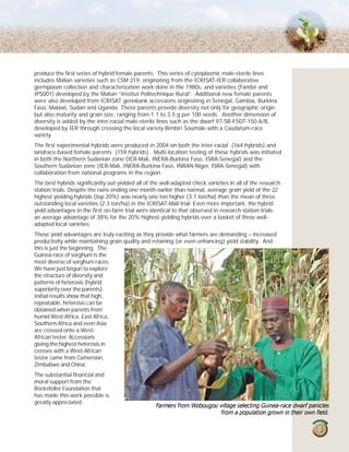 Guinea race sorghum hybrids  new prospects for west africa