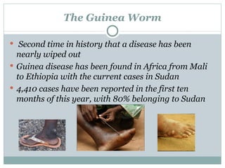 The Guinea Worm Second time in history that a disease has been nearly wiped out Guinea disease has been found in Africa from Mali to Ethiopia with the current cases in Sudan 4,410 cases have been reported in the first ten months of this year, with 80% belonging to Sudan  