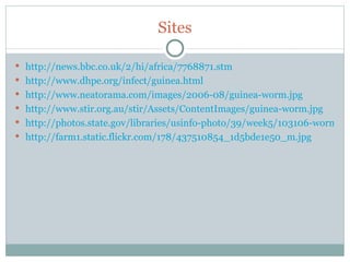 Sites http://news.bbc.co.uk/2/hi/africa/7768871.stm http://www.dhpe.org/infect/guinea.html http://www.neatorama.com/images/2006-08/guinea-worm.jpg http://www.stir.org.au/stir/Assets/ContentImages/guinea-worm.jpg http://photos.state.gov/libraries/usinfo-photo/39/week5/103106-worms-200.jpg http://farm1.static.flickr.com/178/437510854_1d5bde1e50_m.jpg 