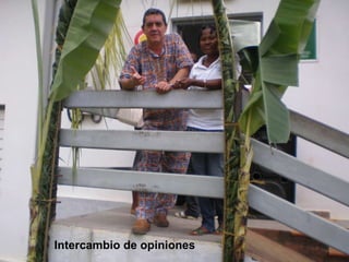 Intercambio de opiniones 