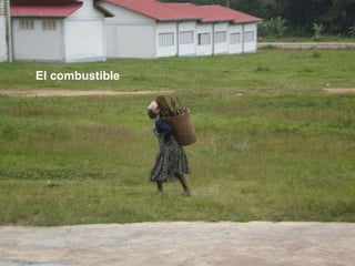 El combustible 