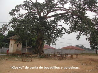 “ Kiosko” de venta de bocadillos y golosinas. 