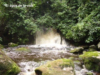 “ El agua de la vida”…  