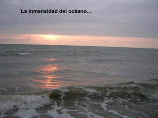La inmensidad del océano… 
