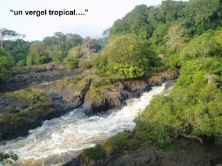“ un vergel tropical….” 