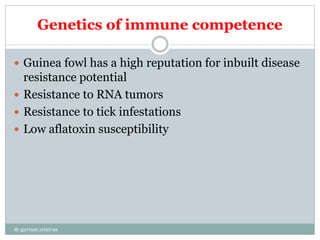 Genetics of immune competence
 Guinea fowl has a high reputation for inbuilt disease
resistance potential
 Resistance to RNA tumors
 Resistance to tick infestations
 Low aflatoxin susceptibility
dr gurram srinivas
 
