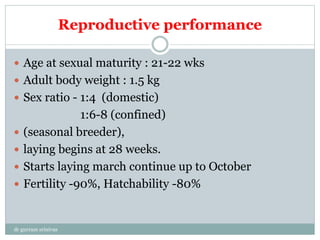 Reproductive performance
 Age at sexual maturity : 21-22 wks
 Adult body weight : 1.5 kg
 Sex ratio - 1:4 (domestic)
1:6-8 (confined)
 (seasonal breeder),
 laying begins at 28 weeks.
 Starts laying march continue up to October
 Fertility -90%, Hatchability -80%
dr gurram srinivas
 