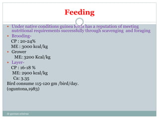 Feeding
 Under native conditions guinea fowls has a reputation of meeting
nutritional requirements successfully through scavenging and foraging
 Brooding-
CP : 20-24%
ME : 3000 kcal/kg
 Grower
ME: 3200 Kcal/kg
 Layer-
CP : 16-18 %
ME: 2900 kcal/kg
Ca: 3.35
Bird consume 115-120 gm /bird/day.
(oguntona,1983)
dr gurram srinivas
 