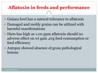 Aflatoxin in feeds and performance
 Guinea fowl has a natural tolerance to aflatoxin
 Damaged and moldy grains can be utilized with
harmful manifestations
 Diets has high as 1.00 ppm aflatoxin should no
adverse effect on wt gain ,avg feed consumption or
feed efficiency
 Autopsy showed absence of gross pathological
lesions
dr gurram srinivas
 