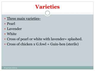 Varieties
 Three main varieties-
 Pearl
 Lavender
 White
 Cross of pearl or white with lavender= splashed.
 Cross of chicken x G.fowl = Guin-hen (sterile)
dr gurram srinivas
 