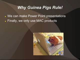 Guinea Pigs Rule! | PPT