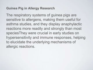 Image showcasing Guinea Pig as a Model for Translation Research | PPTX