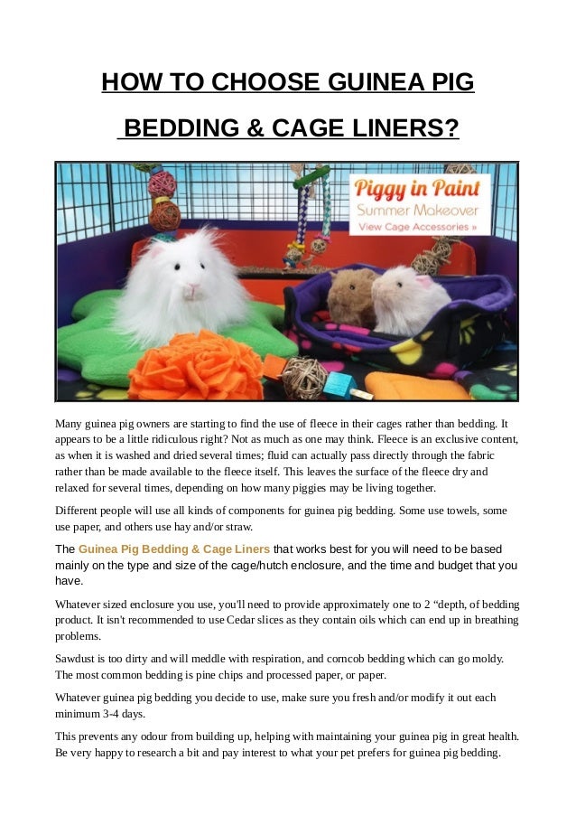 How To Choose Guinea Pig Bedding Cage Liners