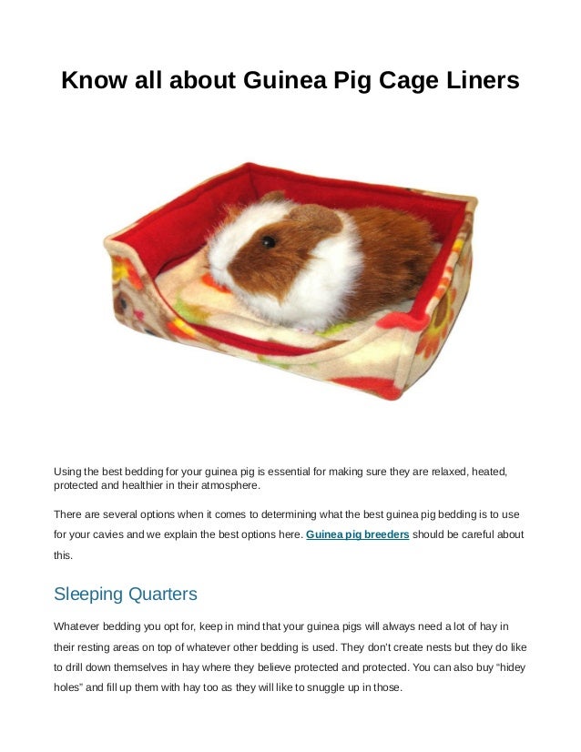 fitch guinea pig bedding