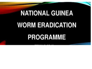Guinea worm eradication program