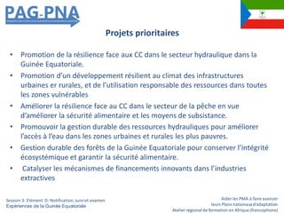 Aider les PMA à faire avancer
leurs Plans nationauxd’adaptation
Atelier régionalde formation en Afrique (francophone)
• Promotion de la résilience face aux CC dans le secteur hydraulique dans la
Guinée Equatoriale.
• Promotion d’un développement résilient au climat des infrastructures
urbaines er rurales, et de l’utilisation responsable des ressources dans toutes
les zones vulnérables
• Améliorer la résilience face au CC dans le secteur de la pêche en vue
d’améliorer la sécurité alimentaire et les moyens de subsistance.
• Promouvoir la gestion durable des ressources hydrauliques pour améliorer
l’accès à l’eau dans les zones urbaines et rurales les plus pauvres.
• Gestion durable des forêts de la Guinée Equatoriale pour conserver l’intégrité
écosystémique et garantir la sécurité alimentaire.
• Catalyser les mécanismes de financements innovants dans l’industries
extractives
Projets prioritaires
Session 3: Elément D: Notification,suiviet examen
Expériences de la Guinée Equatoriale
 