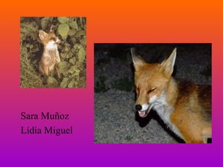 Sara Muñoz Lídia Miguel 