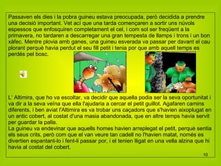 Passaven els dies i la pobra guineu estava preocupada, però decidida a prendre una decisió important. Vet ací que una tarda començaren a sortir uns núvols espessos que enfosquiren completament el cel, i com sol ser freqüent a la primavera, no tardaren a descarregar una gran tempesta de llamps i trons i un bon xàfec. Mentre plovia amb ganes, una guineu esverada va passar per davant el cau plorant perquè havia perdut el seu fill petit i tenia por que amb aquell temps es perdés pel bosc. L‘ Altimira, que ho va escoltar, va decidir que aquella podia ser la seva oportunitat i va dir a la seva veïna que ella l'ajudaria a cercar el petit guillot. Agafaren camins diferents, i ben aviat l'Altimira es va trobar uns caçadors que s'havien aixoplugat en un antic cobert, al costat d'una masia abandonada, que en altre temps havia servit per guardar la palla. La guineu va endevinar que aquells homes havien arreplegat el petit, perquè sentia els seus crits, però com que el van veure tan cadell no l'havien matat, només es divertien espantant-lo i fent-li passar por, i el tenien lligat en una vella alzina que hi havia al costat del cobert. 