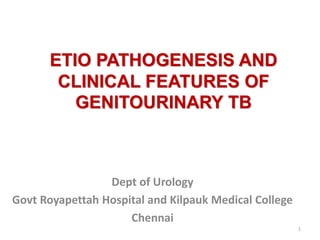 ETIO PATHOGENESIS AND
CLINICAL FEATURES OF
GENITOURINARY TB
Dept of Urology
Govt Royapettah Hospital and Kilpauk Medical College
Chennai
1
 