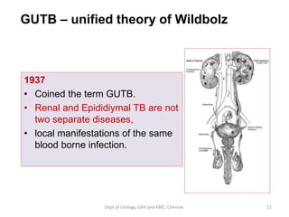 Gutbe Group.pdf Etiopathogenesis of GUTB | PDF
