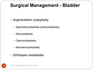 Surgical management of GUTB | PDF